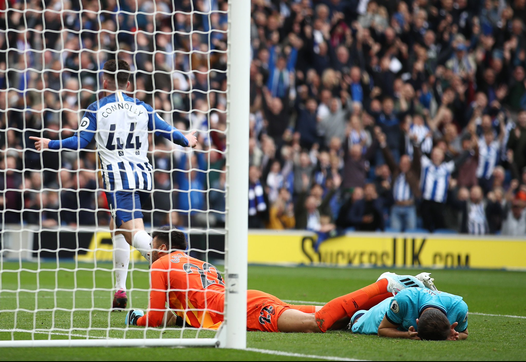 疑为本就动 疑为本就动